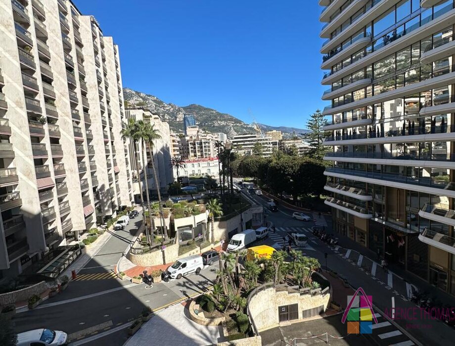 À VENDRE – LE PARK PALACE - SPACIEUX 2 PIECES A RENOVER